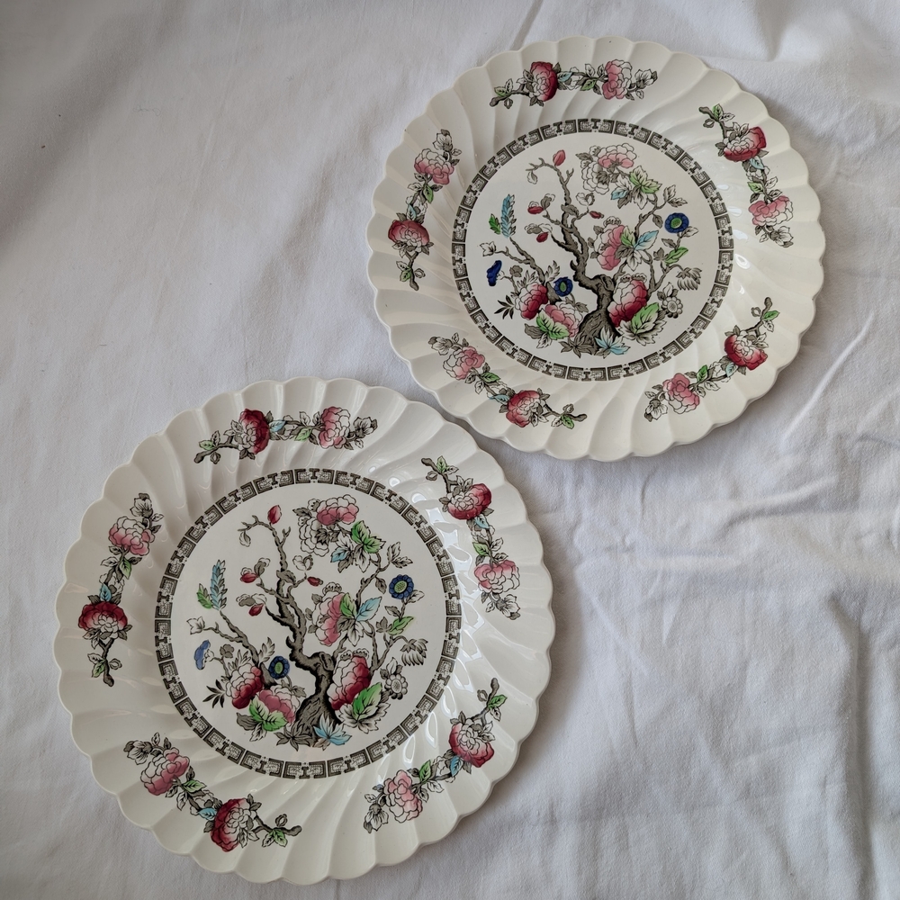 Myott Indian Tree Pink Floral Scallop Swirled Rim Cream Dinner Plates Vintage 2